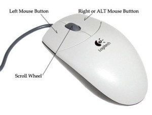 What is a computer mouse