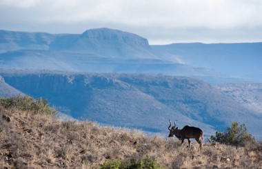 Karoo_National_Park