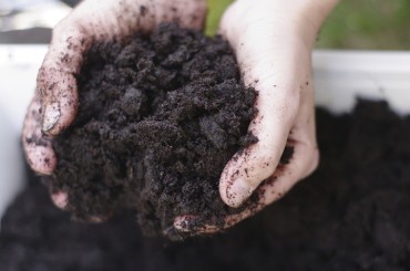 healthy-soil