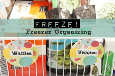 labels-for-the-slim-freezer