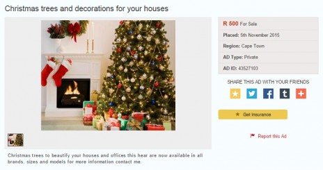 christmas-trees-for-sale