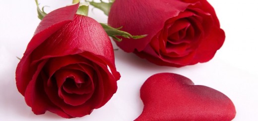 valentines-day-roses