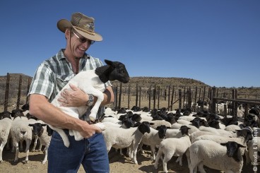 farmer-with-goats