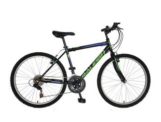 raleigh mountain bike for sale