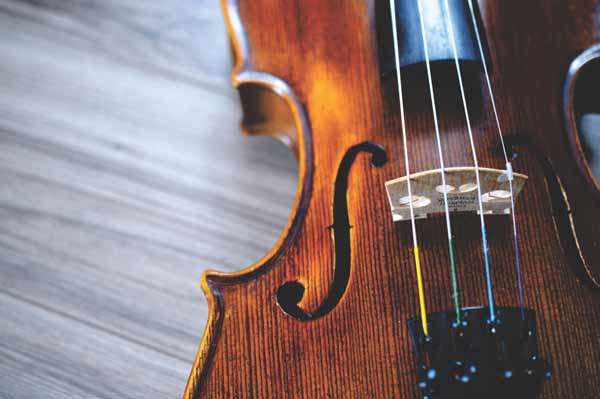 violin for sale, violin facts, musical instruments, violin price