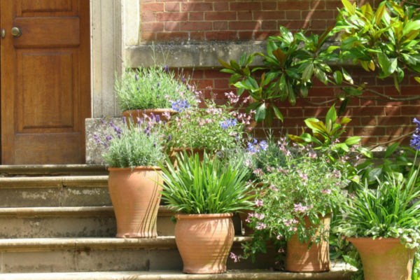 Make A Statement In Your Entrance With Garden Pots | Junk Mail