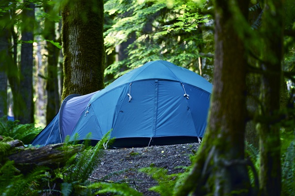 Camping Essentials for your next camping trip | Junk Mail